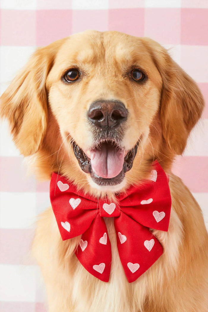 Embroidered Hearts Dog Bow- FINAL SALE