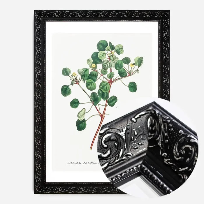21x30cm | 8¼ x 11¾in / Black Ornate Frame