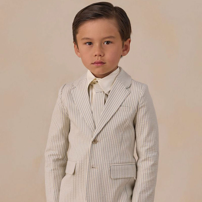 Noralee Sebastian Blazer - Sky Stripe