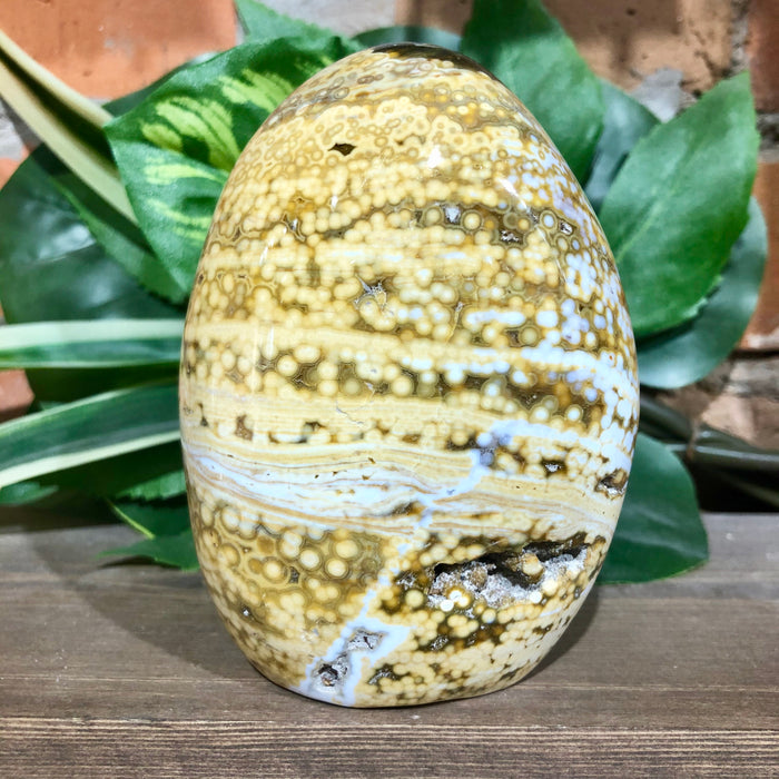 Ocean Jasper Free Form