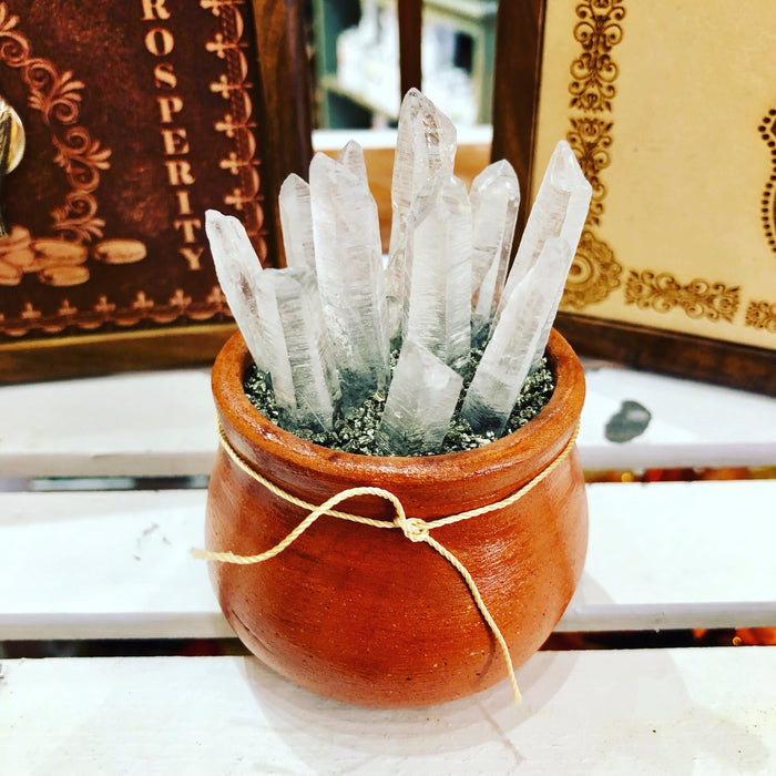 Potted Crystals