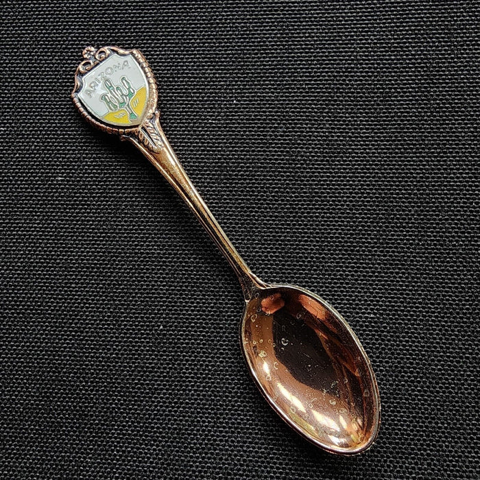 Arizona State Collectible Travel Souvenir Spoon 3.5" (8 cm) with Desert Cactus