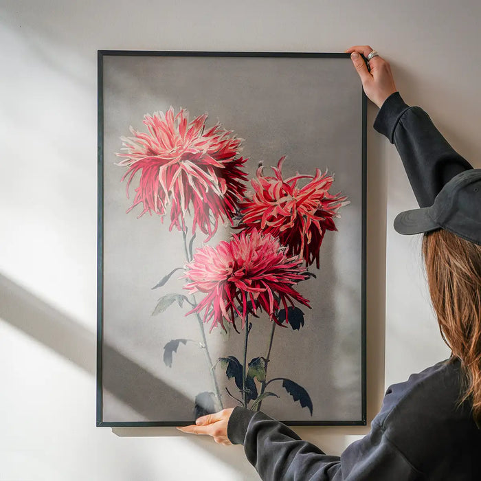 Asa-dsuma-bune Ogawa Kazumasa Flowers Print being hung on a wall in a black frame