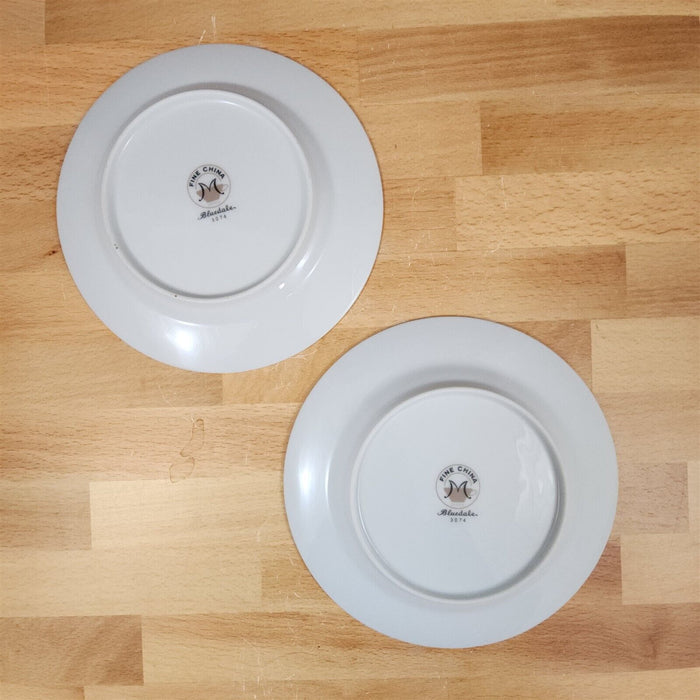 Bluedale 2 Bread & Butter Plate Set Blue White Flowers Ceramic Fine China Japan