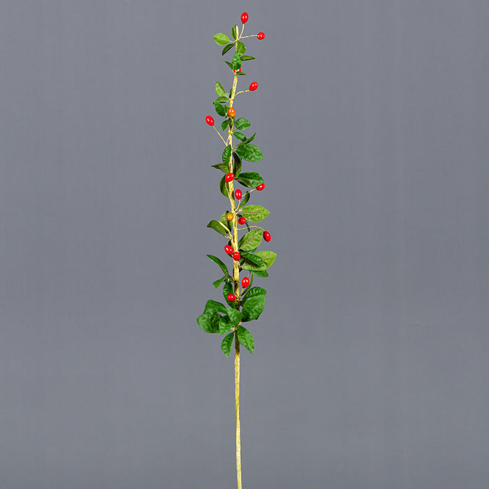 Red/Green