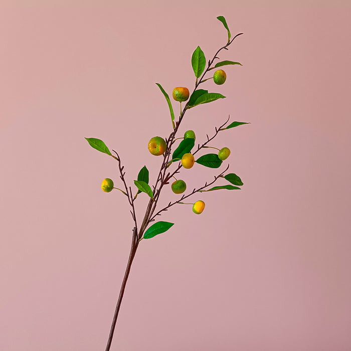 Green/Yellow / 1 Piece