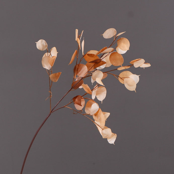 Bulk Wabi-Sabi 35" Lunaria Stems Branches White Burnt Orange Leaves Plants Wholesale