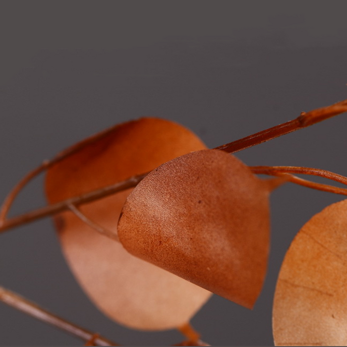 Bulk Wabi-Sabi 35" Lunaria Stems Branches White Burnt Orange Leaves Plants Wholesale