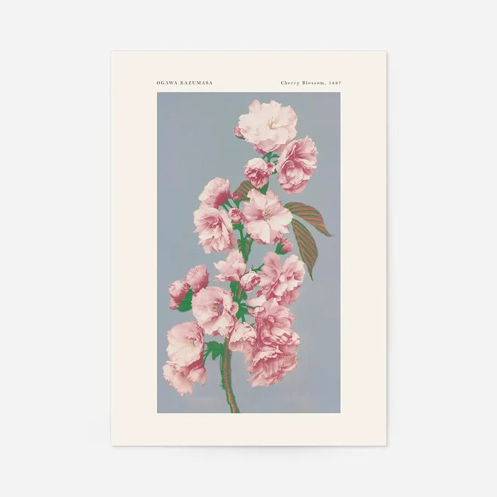 Cherry Blossom Ogawa Kazumasa Flowers Print, Japanese woodblock print, unframed