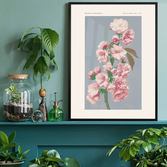 Cherry Blossom Ogawa Kazumasa Flowers Print, Japanese woodblock print black framed on a living room shelf