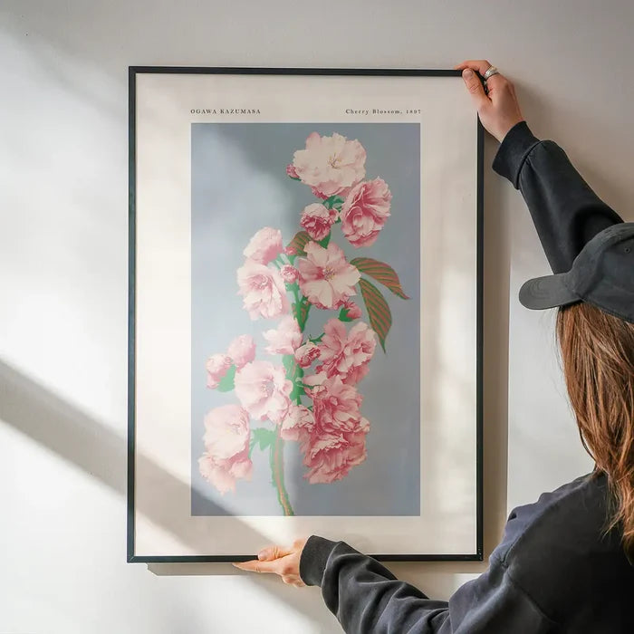 Cherry Blossom Ogawa Kazumasa Flowers Print being hung on a wall in a black frame