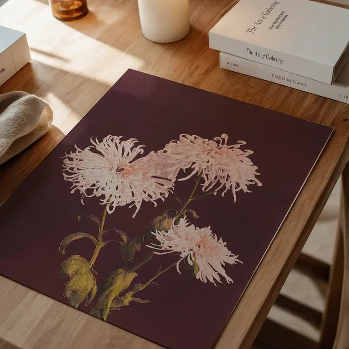 Chrysanthemum Ogawa Kazumasa Flowers Print, Japanese woodblock print unframed on a home office desk