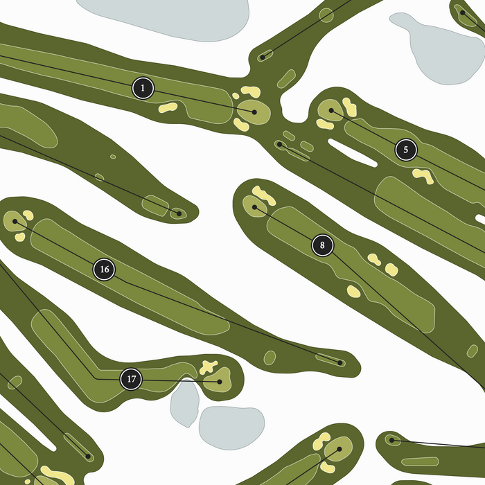 The Country Club of Hudson | Golf Course Print | Close Up