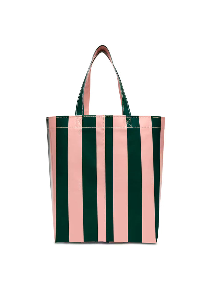 FERN BASIC GRAB 'N' GO