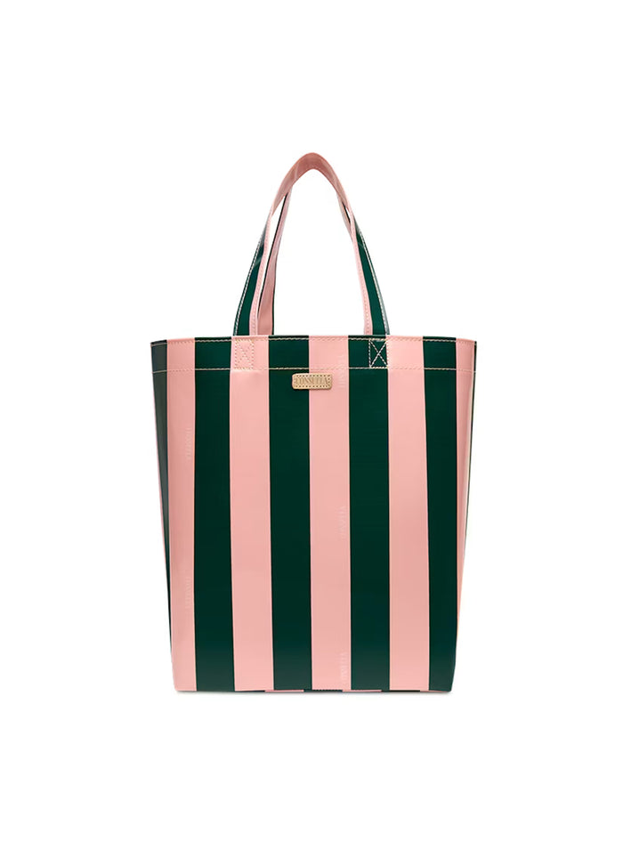 FERN BASIC GRAB 'N' GO