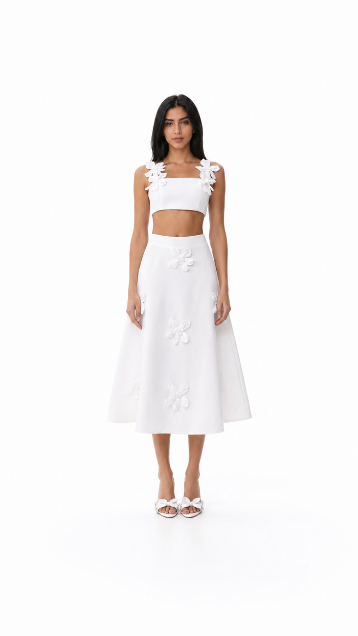 Floral Appliqué Crop Top & A-Line Midi Skirt Set - Iris