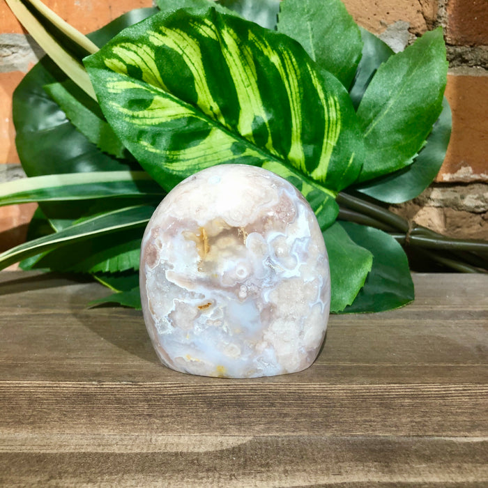 Flower Agate Free Form