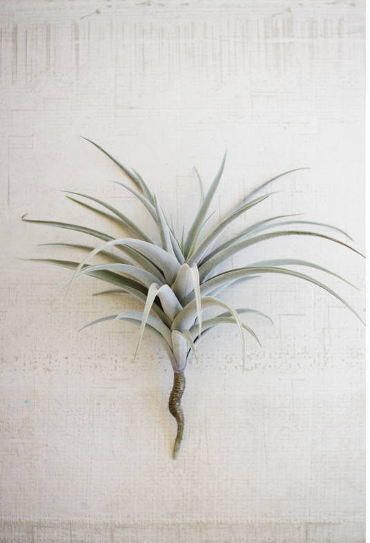 Giant Artificial Air Plant