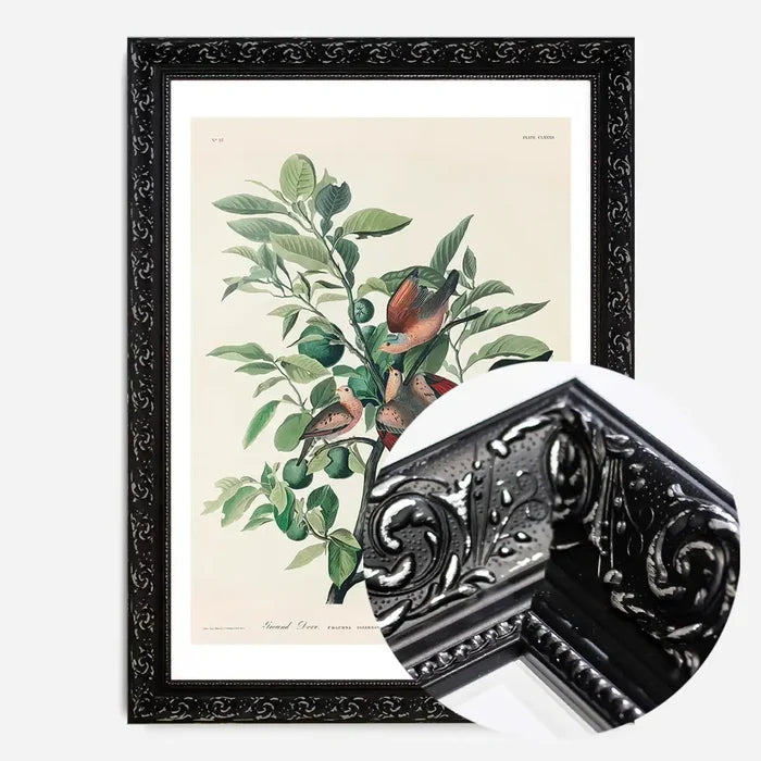 21x30cm | 8¼ x 11¾in / Black Ornate Frame