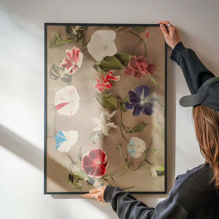 Group of Morning Glories Ogawa Kazumasa Flowers Print being hung on a wall in a black frame