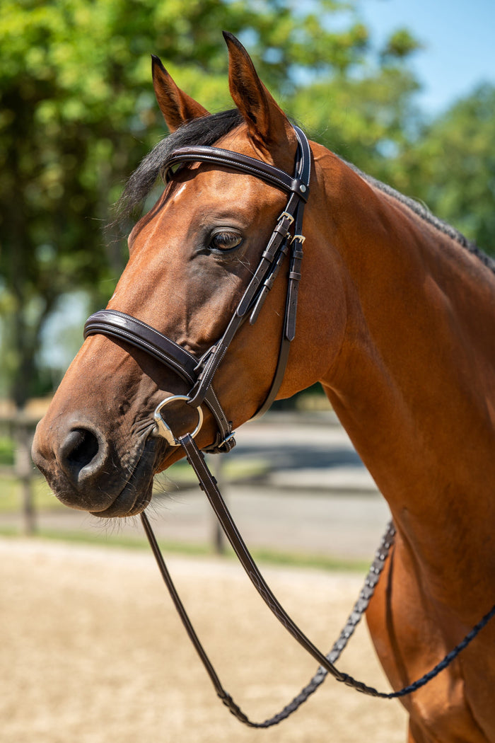HKM Hunter 2 English Bridle, Dark Brown