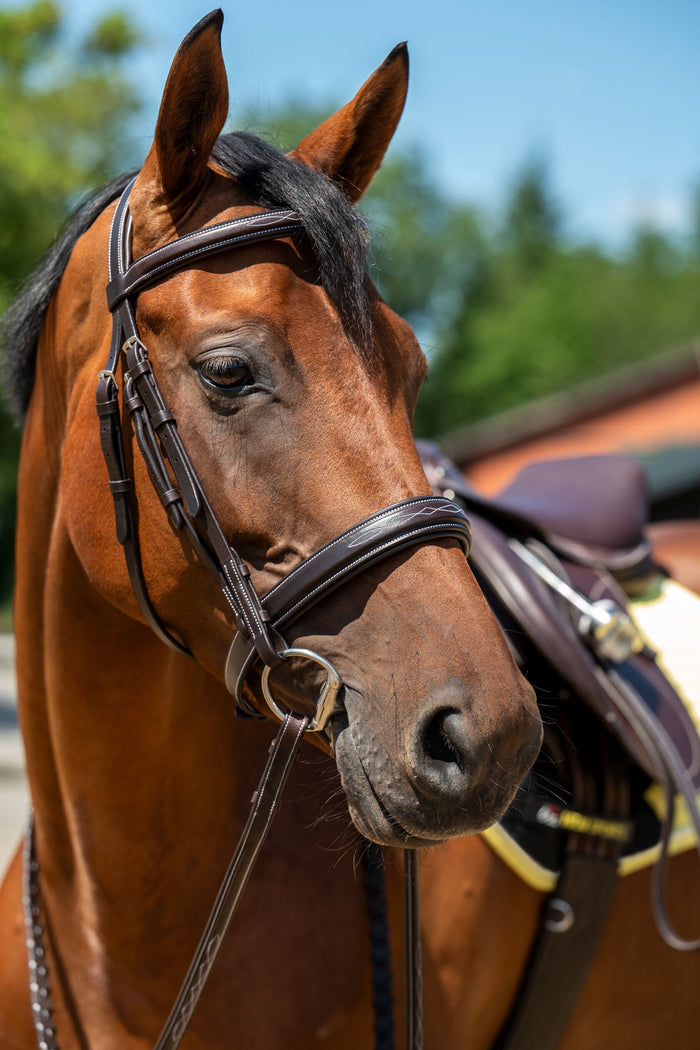 HKM Hunter 2 English Bridle, Dark Brown