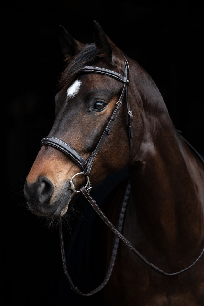 HKM Hunter 2 English Bridle, Dark Brown
