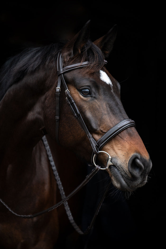 HKM Hunter 2 English Bridle, Dark Brown