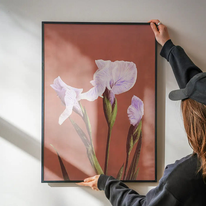 Iris Kaempferi Ogawa Kazumasa Flowers Print being hung on a wall in a black frame