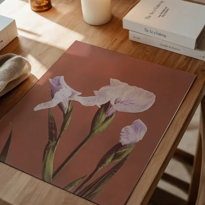 Iris Kaempferi Ogawa Kazumasa Flowers Print, Japanese woodblock print unframed on a home office desk