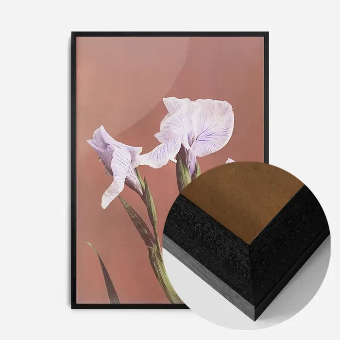 21x30cm | 8¼ x 11¾in / Black Wood Frame