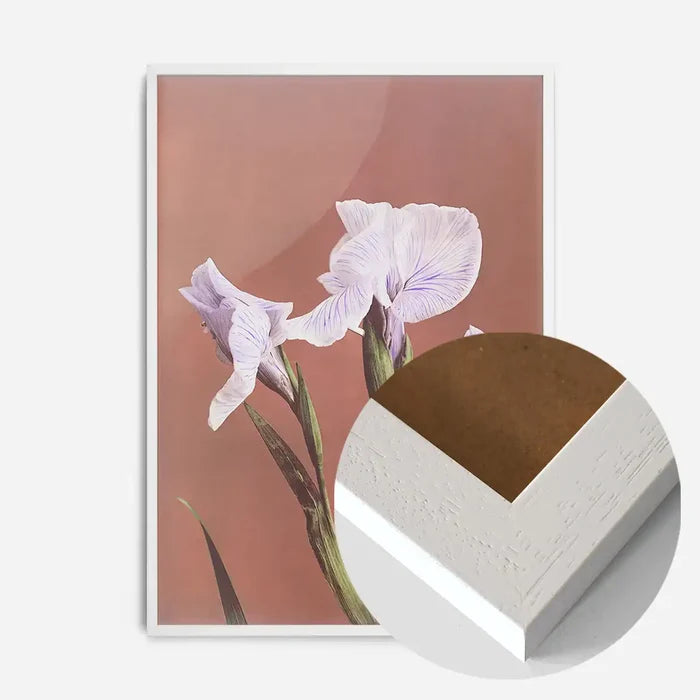 21x30cm | 8¼ x 11¾in / White Wood Frame
