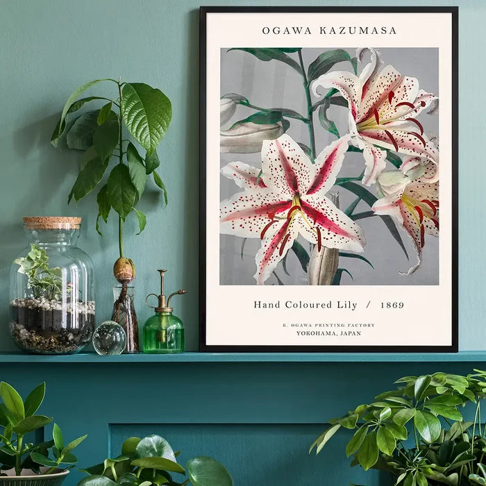 Japanese Flowers Ogawa Kazumasa Flowers Print, Japanese woodblock print black framed on a living room shelf