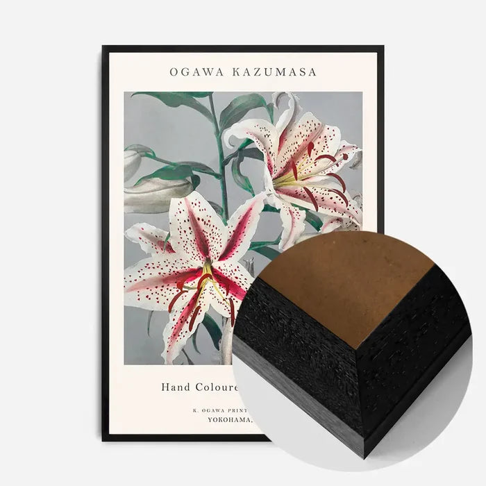 21x30cm | 8¼ x 11¾in / Black Wood Frame