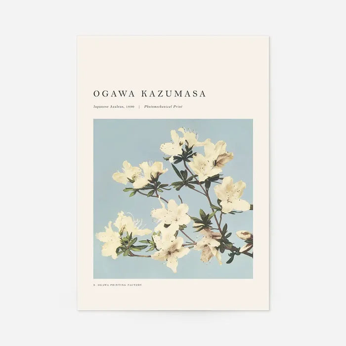 Japense Azaleas Ogawa Kazumasa Flowers Print, Japanese woodblock print, unframed