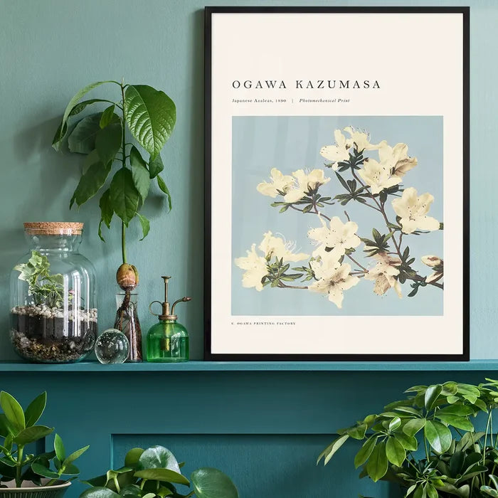 Japense Azaleas Ogawa Kazumasa Flowers Print, Japanese woodblock print black framed on a living room shelf