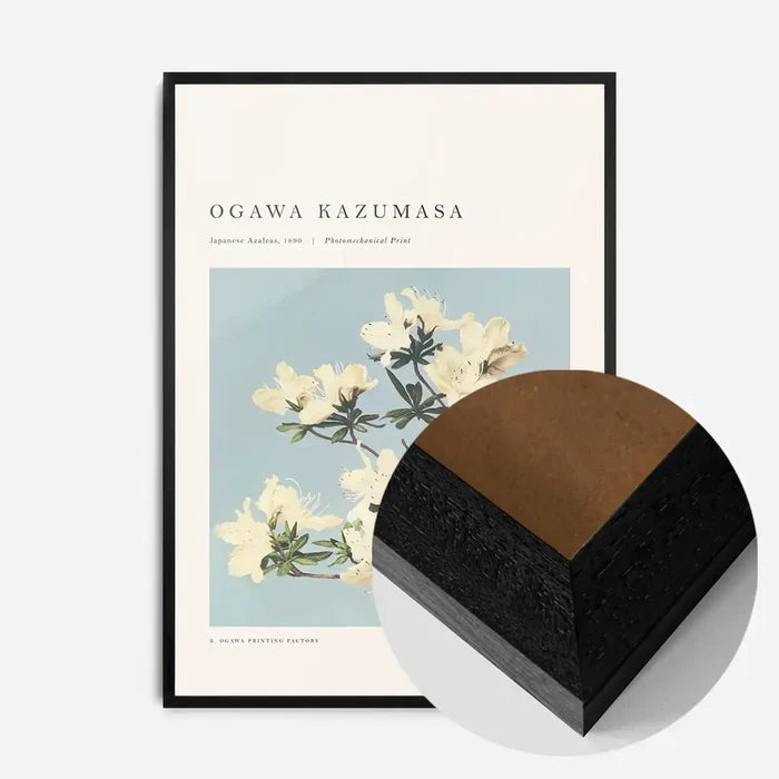 21x30cm | 8¼ x 11¾in / Black Wood Frame