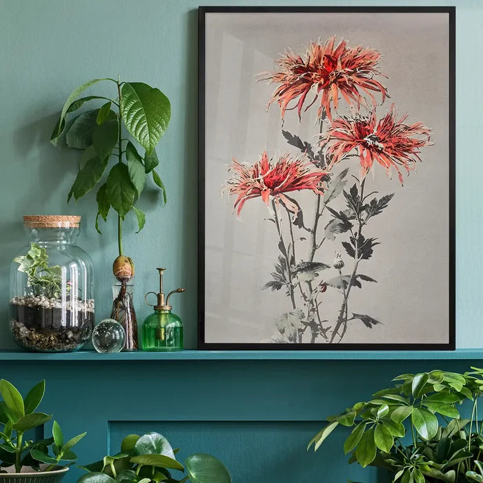 Kin-shi-shi Ogawa Kazumasa Flowers Print, Japanese woodblock print black framed on a living room shelf