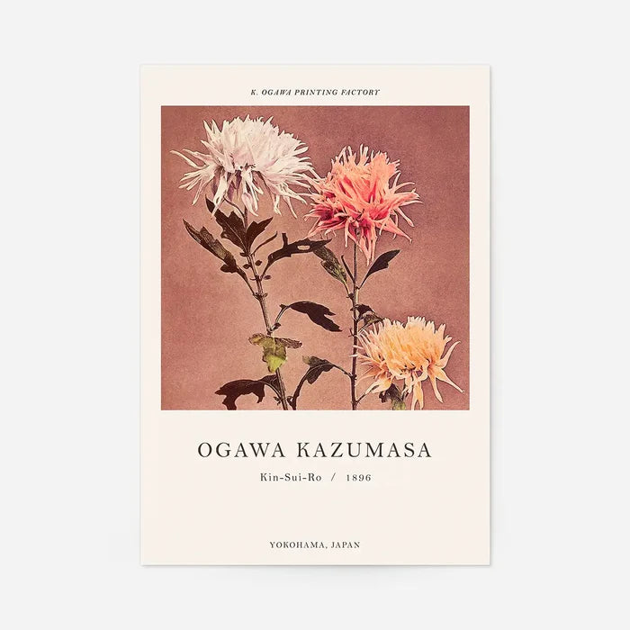 Kin-sui-ro Ogawa Kazumasa Japanese Flowers Print 40x50cm Clearance Print, unframed