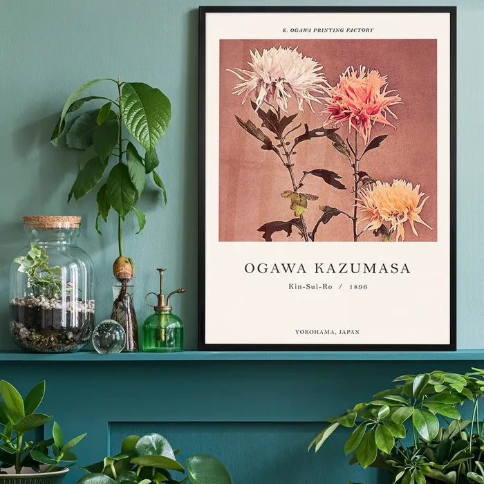 Kin-sui-ro Ogawa Kazumasa Japanese Flowers Print, Japanese woodblock print black framed on a living room shelf