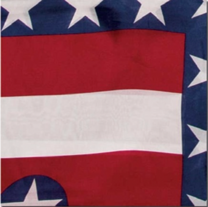Liberty Silk Scarf 20"