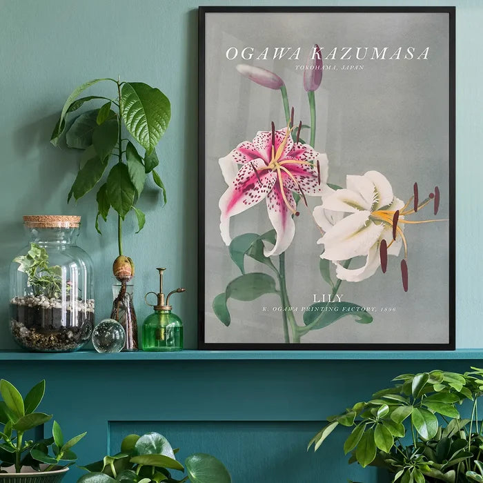 Lily 3 Ogawa Kazumasa Flowers Print, Japanese woodblock print black framed on a living room shelf