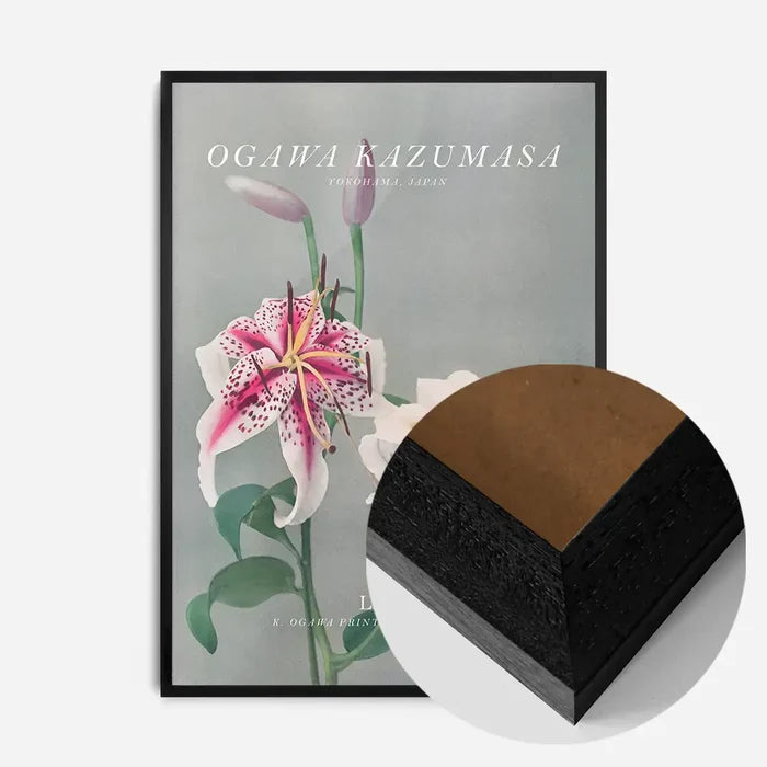 21x30cm | 8¼ x 11¾in / Black Wood Frame