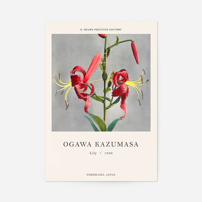 Lily Ogawa Kazumasa Flowers Print, Japanese woodblock print, unframed