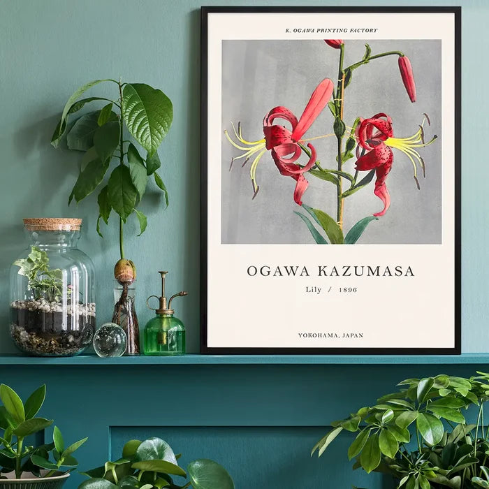 Lily Ogawa Kazumasa Flowers Print, Japanese woodblock print black framed on a living room shelf