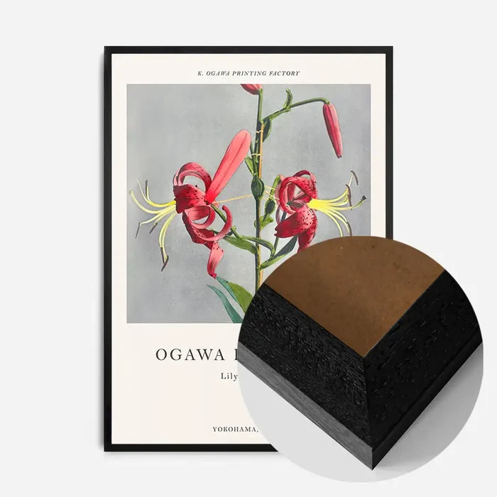 21x30cm | 8¼ x 11¾in / Black Wood Frame