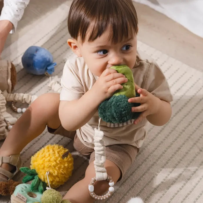 Living Textiles Broccoli & Tomato Stroller Toy