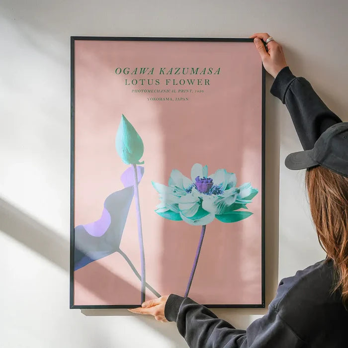 Lotus Flower Inverted Ogawa Kazumasa Flowers Print being hung on a wall in a black frame