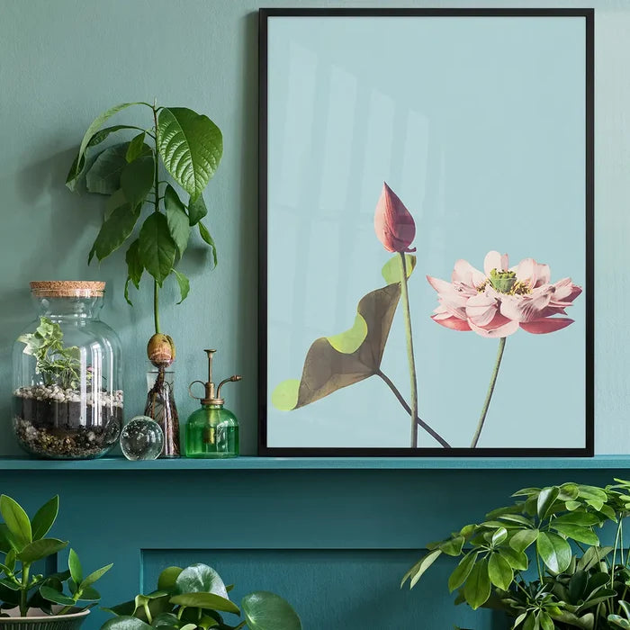 Lotus Flower Ogawa Kazumasa Flowers Print, Japanese woodblock print black framed on a living room shelf