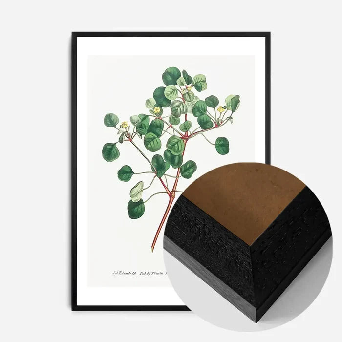 21x30cm | 8¼ x 11¾in / Black Wood Frame